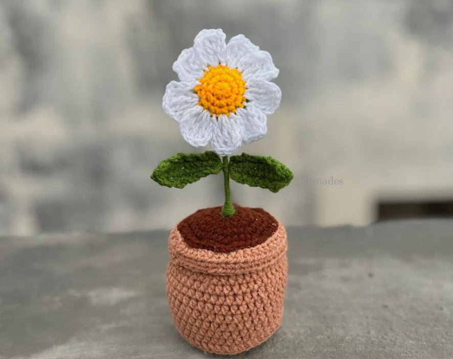Daisy Pot