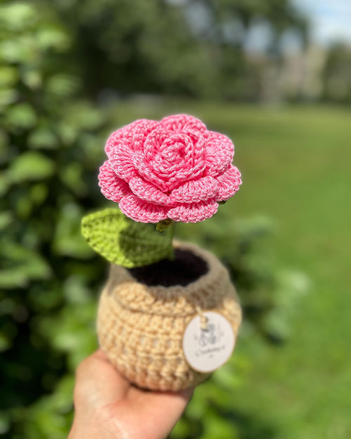 Blooming Rose Pot