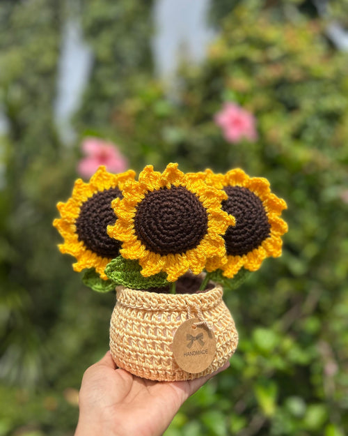 Big Sunflower Pot