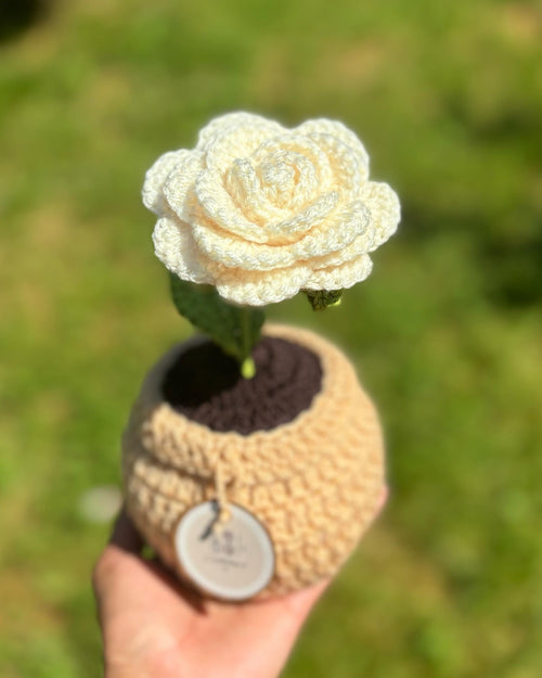 Blooming Rose Pot